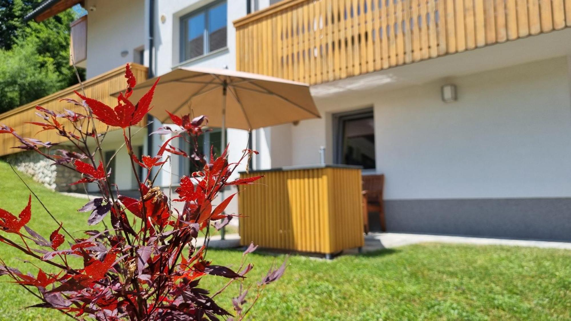 Apartments Vila Darja Bohinj Exterior foto